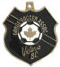 Custom Medals and Medallions